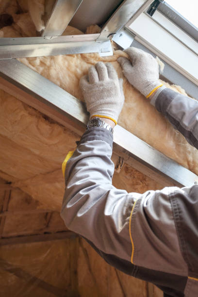 Best Specialized Insulation Services in Ilchester, MD