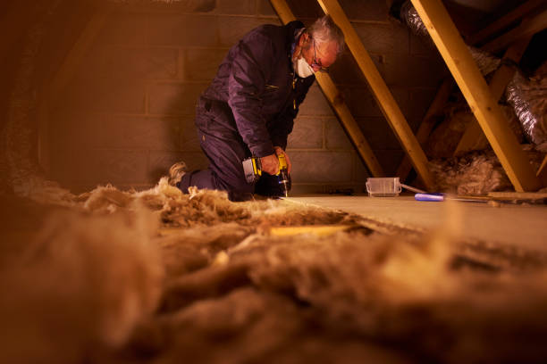 Best Cellulose Insulation in Ilchester, MD